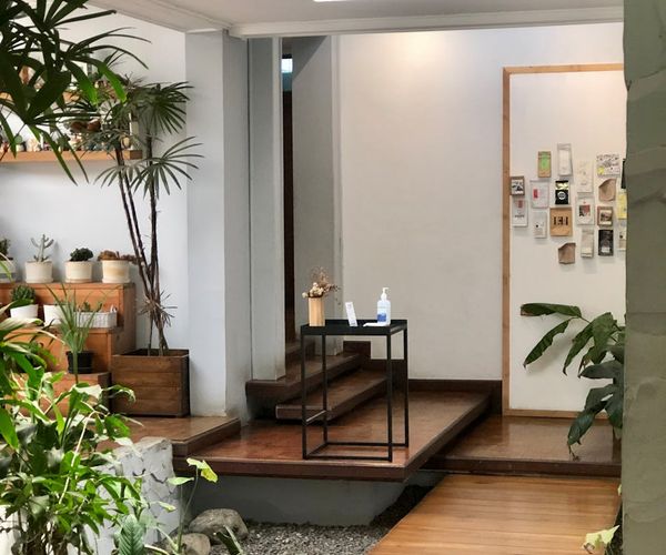 Bright and airy yoga studio with wooden floors and green plants.